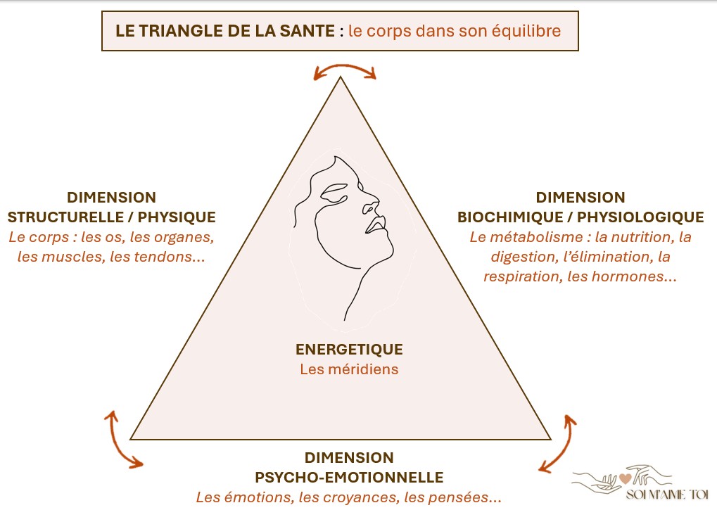 kinésiologue à saint herblain équilibre énergétique